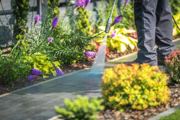 Best Animal Enclosure Cleaning  in Denison, IA
